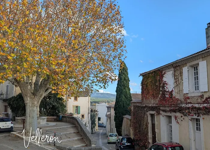 Le Chester - Maison De Charme En Provence Avec Piscine Pres De L'Isle-Sur-La-Sorgue